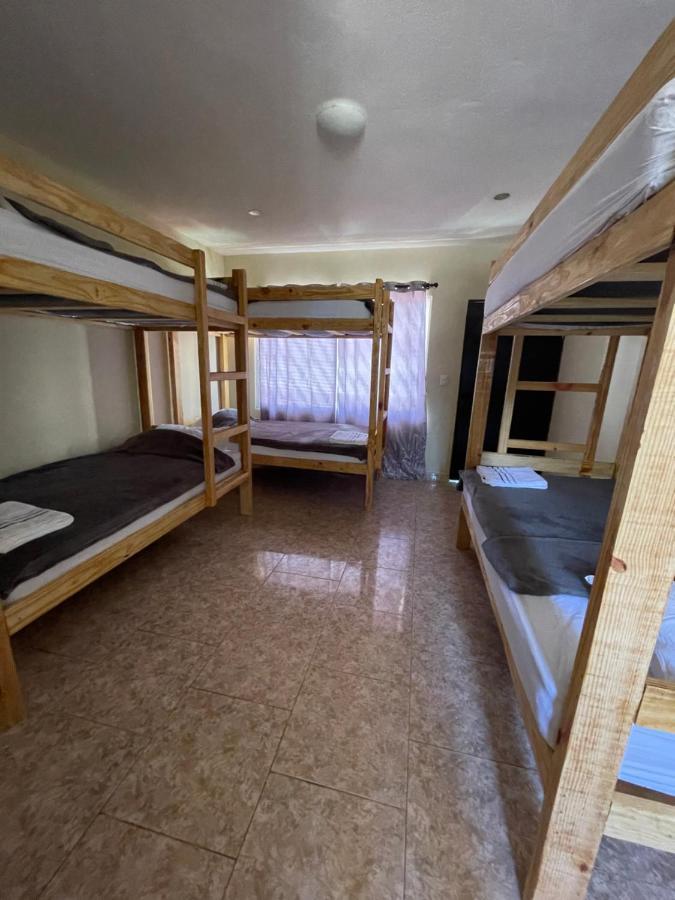 Wing Camp Vandrehjem Cabarete Eksteriør billede